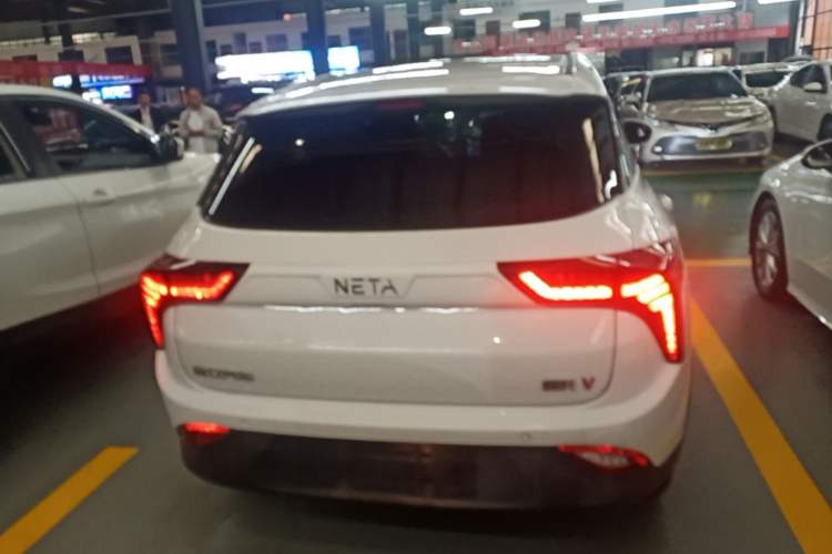 Used NETA V 2021 Standard Range Entertainment Edition Rear