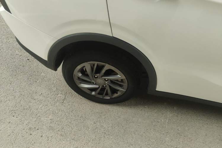 Used NETA V 2021 Standard Range Entertainment Edition Right Rear Wheel Hub