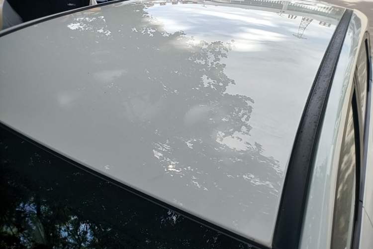 Used NETA V 2021 Standard Range Entertainment Version – Upgraded Model Roof