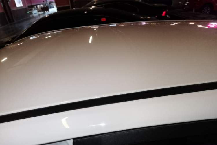 Used NETA V 2021 Standard Range Entertainment Edition Roof