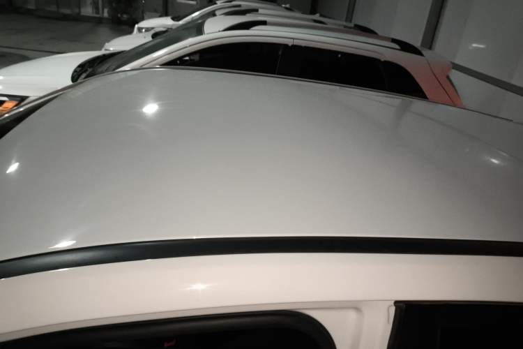 Used NETA V 2021 Ride-Hailing Custom Edition Roof