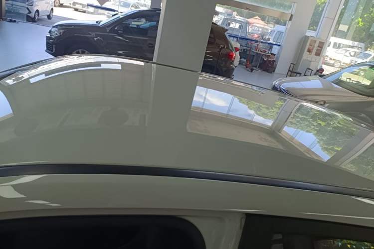 Used NETA V 2021 Standard Range Entertainment Edition Roof