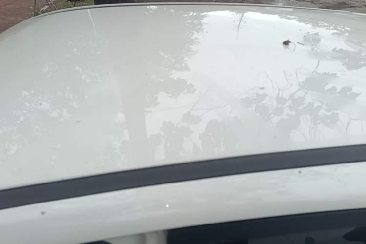 Used NETA V 2021 Standard Range Entertainment Version – Upgraded Model Roof