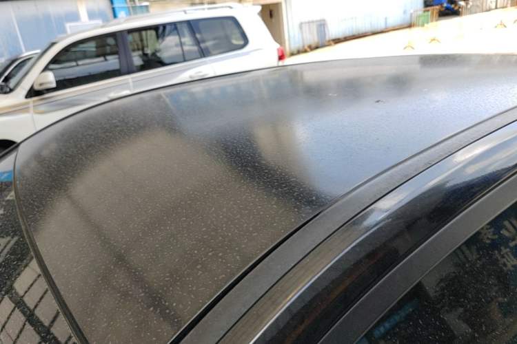 Used NETA V 2021 Long-Range Entertainment Edition Upgrade Model Roof