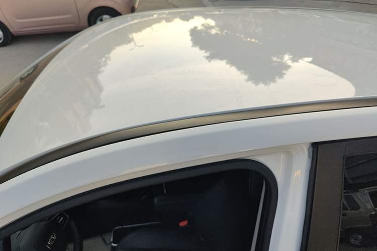 Used NETA V 2021 Long-Range Entertainment Edition Upgrade Model Roof