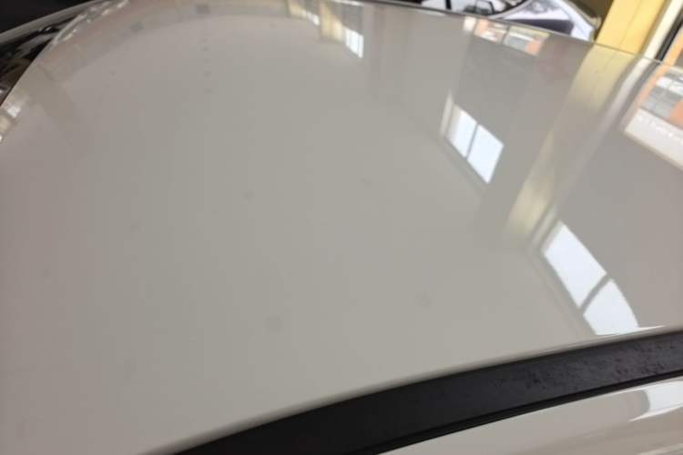 Used NETA V 2021 Standard Range Entertainment Version – Upgraded Model Roof