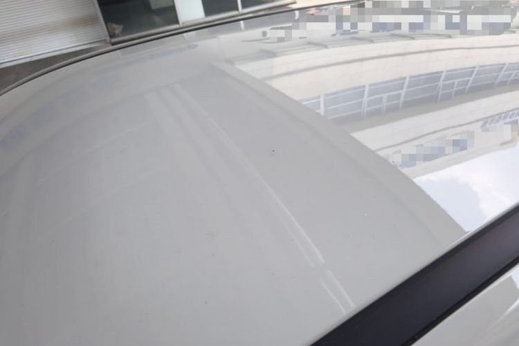 Used NETA V 2021 Long-Range Entertainment Edition Upgrade Model Roof