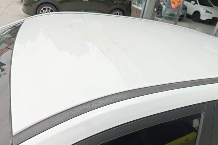 Used NETA V 2021 Long-Range Entertainment Edition Upgrade Model Roof
