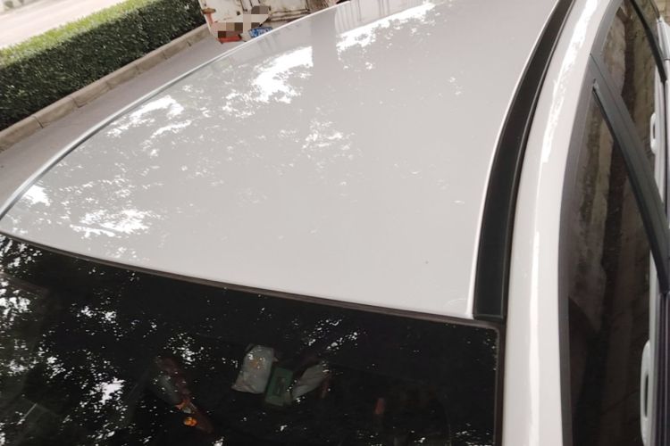 Used NETA V 2021 Standard Range Entertainment Edition Roof