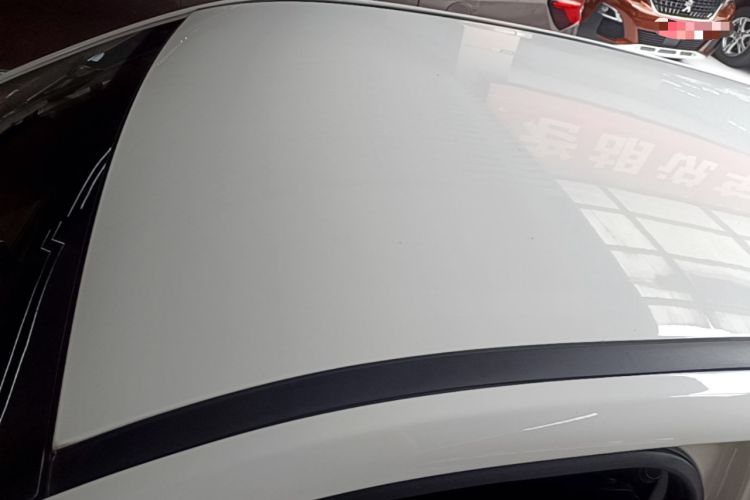 Used NETA V 2021 Standard Range Entertainment Edition Roof