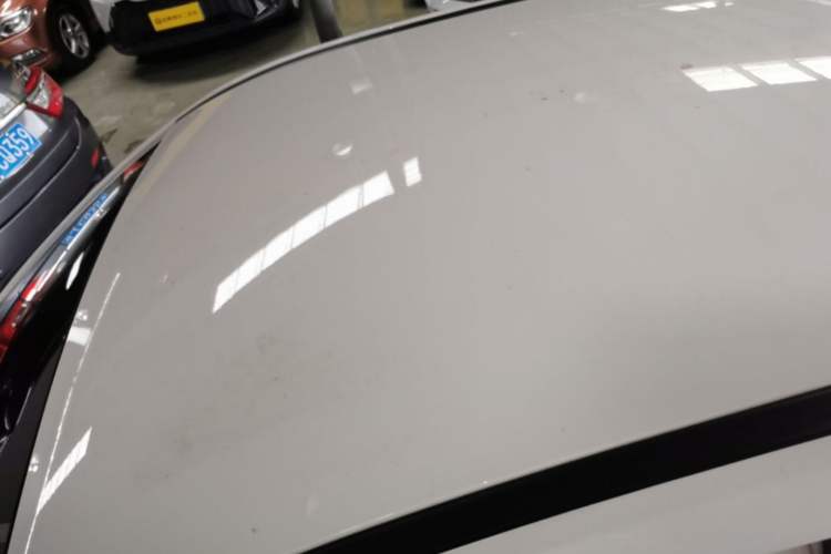 Used NETA V 2021 Long-Range Smart Edition Roof