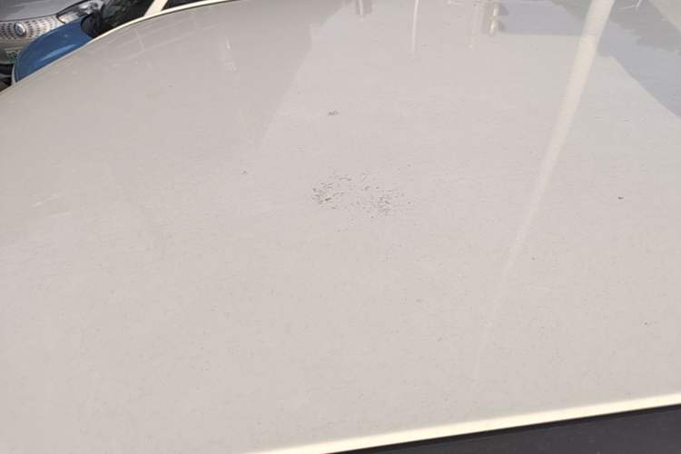 Used NETA V 2021 Standard Range Entertainment Edition Roof