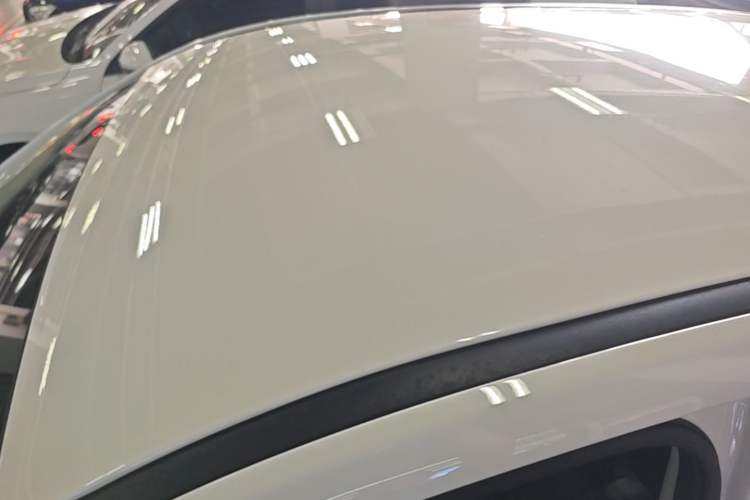 Used NETA V 2021 Long-Range Entertainment Edition Upgrade Model Roof