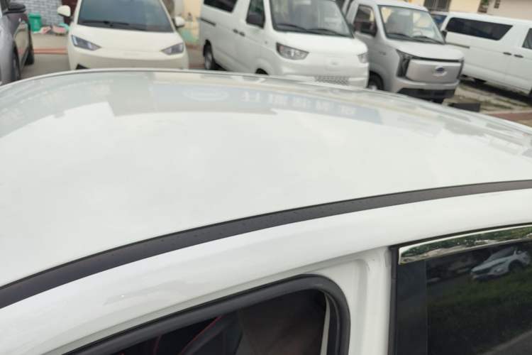 Used NETA V 2021 Long-Range Entertainment Edition Upgrade Model Roof