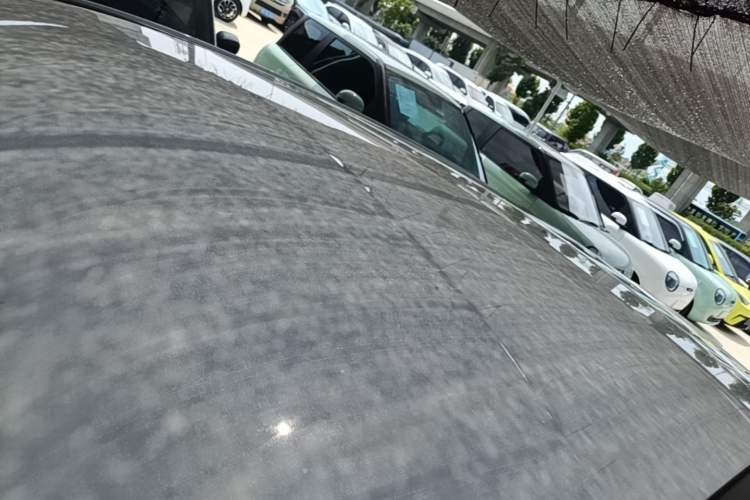 Used NETA V 2021 Long-Range Entertainment Edition Upgrade Model Roof