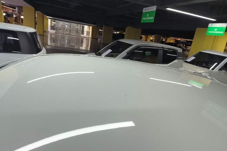 Used NETA V 2021 Standard Range Entertainment Version – Upgraded Model Roof