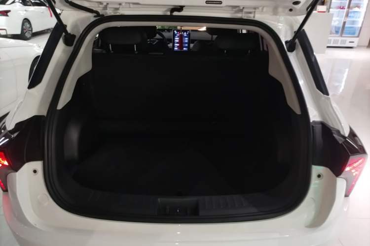 Used NETA V 2021 Long-Range Entertainment Edition Trunk