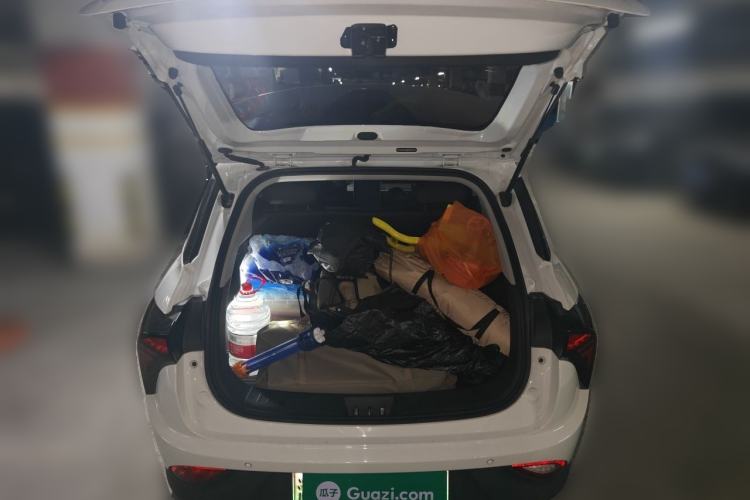 Used NETA V 2021 Long-Range Entertainment Edition Trunk