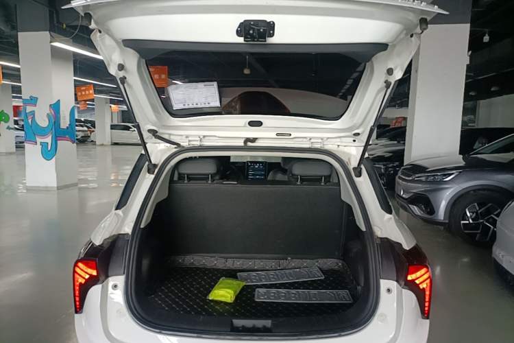 Used NETA V 2021 Long-Range Industry Custom Edition Trunk