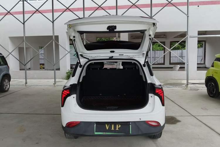 Used NETA V 2021 Long-Range Entertainment Edition Trunk