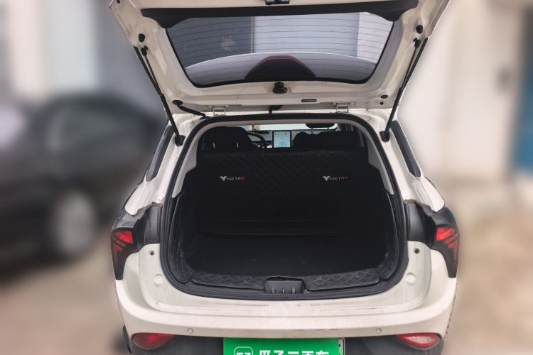 Used NETA V 2021 Standard Range Version Trunk