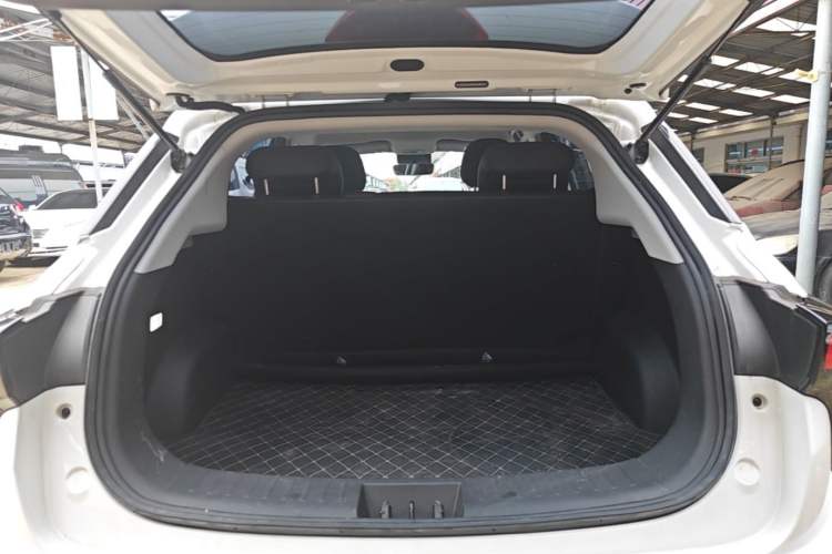 Used NETA V 2021 Long-Range Industry Custom Edition Trunk