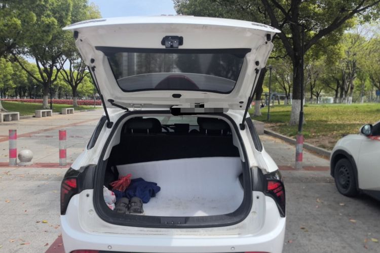 Used NETA V 2021 Long-Range Entertainment Edition Upgrade Model Trunk
