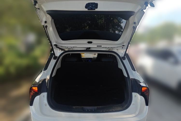 Used NETA V 2021 Standard Range Entertainment Edition Trunk