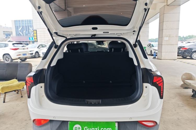 Used NETA V 2021 Standard Range Industry Custom Edition Trunk