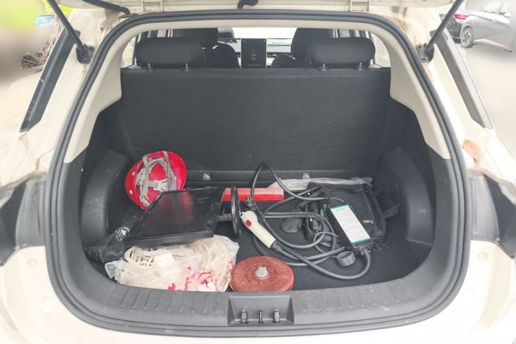Used NETA V 2021 Standard Range Version Trunk