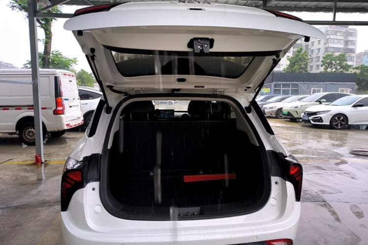 Used NETA V 2021 Long-Range Entertainment Edition Upgrade Model Trunk