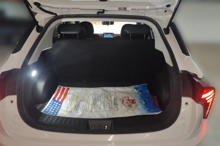 Used NETA V 2021 Long-Range Entertainment Edition Upgrade Model Trunk