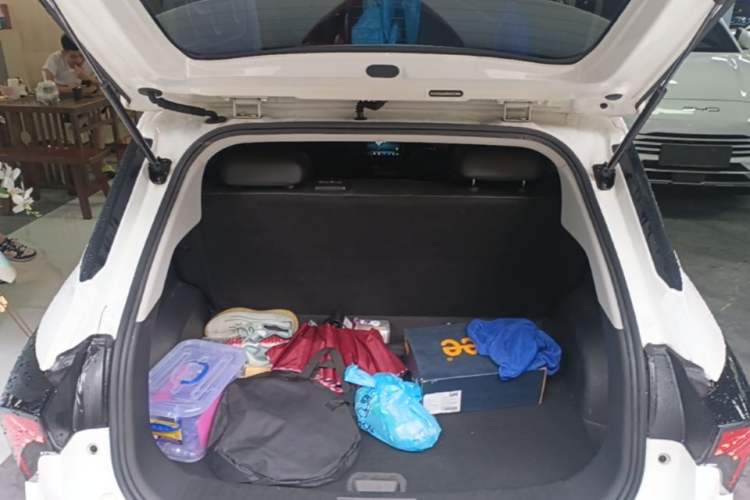 Used NETA V 2021 Long-Range Entertainment Edition Upgrade Model Trunk