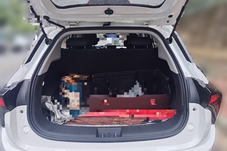 Used NETA V 2021 Standard Range Entertainment Edition Trunk