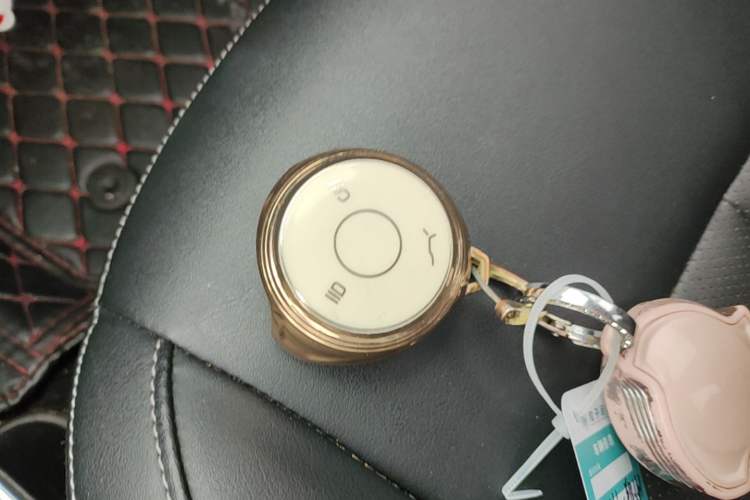 Used NETA V 2021 Long-Range Entertainment Edition Upgrade Model Vehicle Key