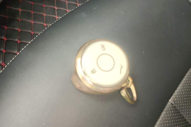 Used NETA V 2021 Long-Range Entertainment Edition Upgrade Model Vehicle Key