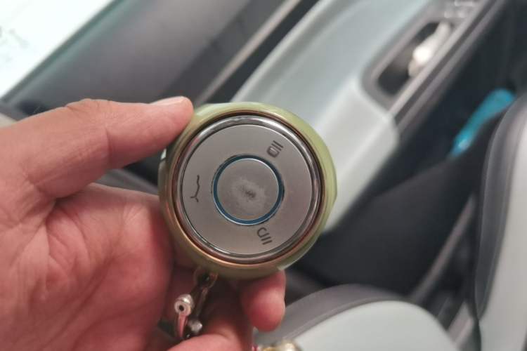 Used NETA V 2021 Long-Range Entertainment Edition Vehicle Key