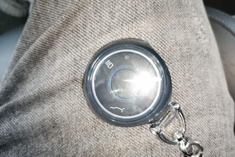 Used NETA V 2021 Long-Range Smart Edition Vehicle Key