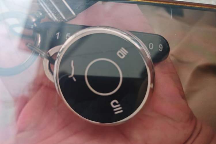 Used NETA V 2021 Standard Range Entertainment Edition Vehicle Key