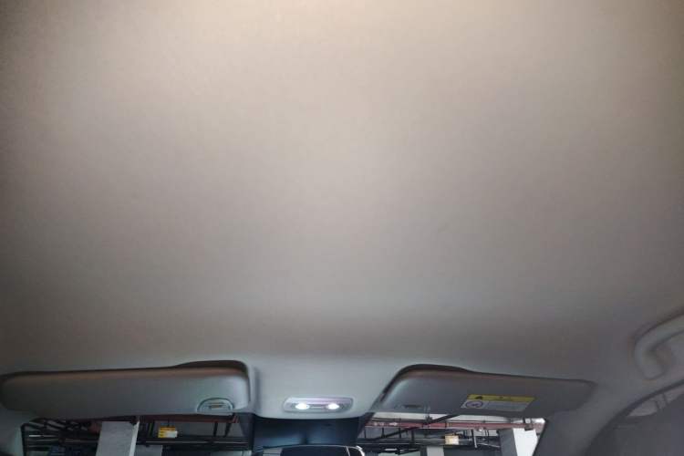 Used NETA V 2022 Pro Long-Range Smart Edition Headliner