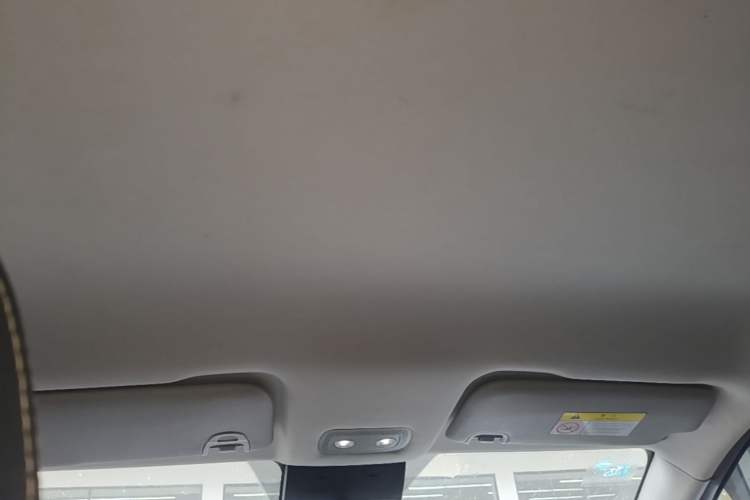 Used NETA V 2022 Long-Range Industry Custom Edition Headliner