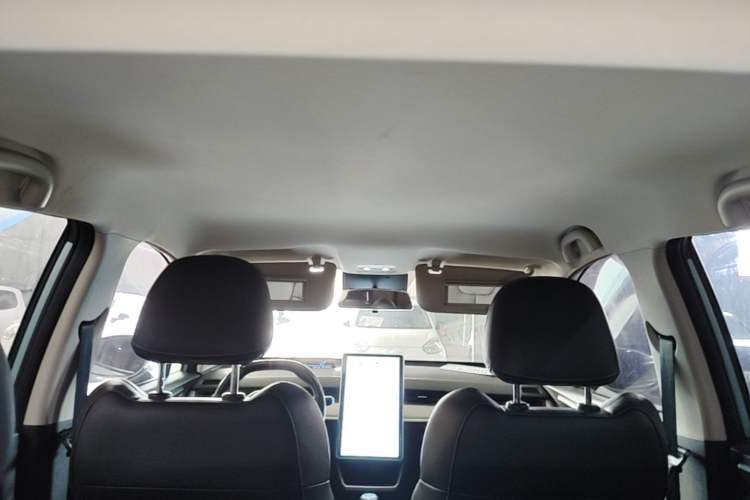 Used NETA V 2022 Pro Long-Range Smart Edition Headliner