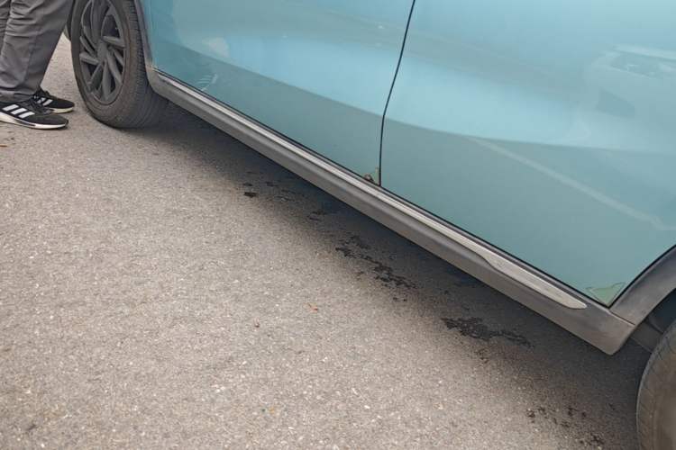 Used NETA V 2022 Chao 300 Lite Ternary Lithium Left Side Sill