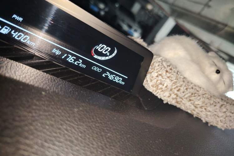 Used NETA V 2022 Pro Long-Range Smart Edition Odometer Close Up
