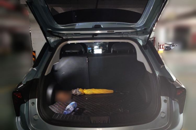 Used NETA V 2022 Pro Long-Range Smart Edition Trunk