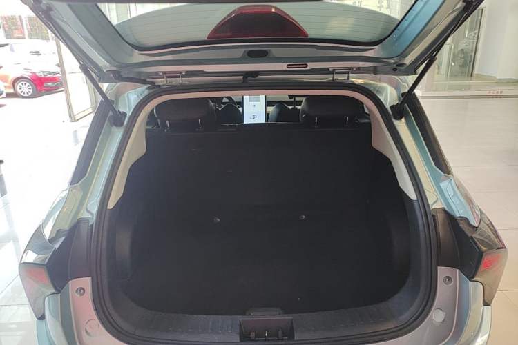 Used NETA V 2022 Chao 300 Industry Custom Edition Trunk