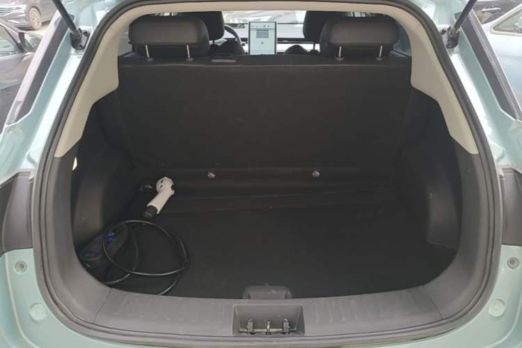 Used NETA V 2022 Long-Range Industry Custom Edition Trunk