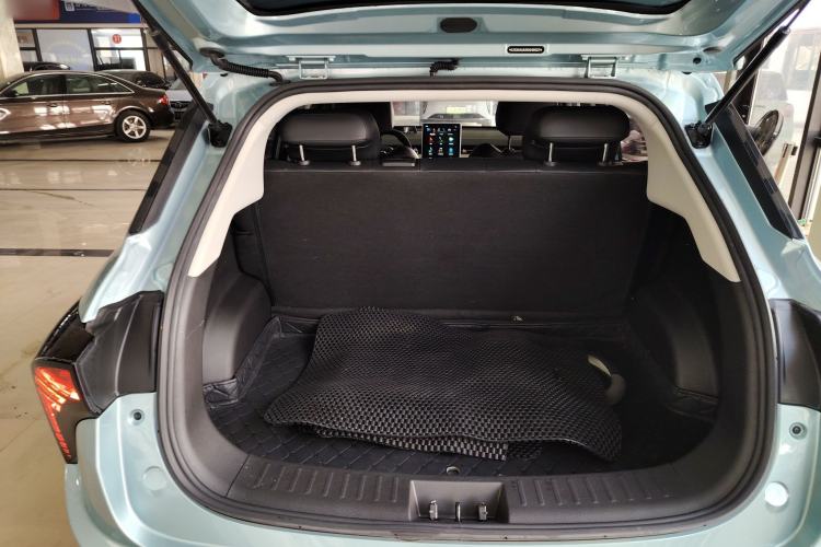 Used NETA V 2022 Long-Range Industry Custom Edition Trunk