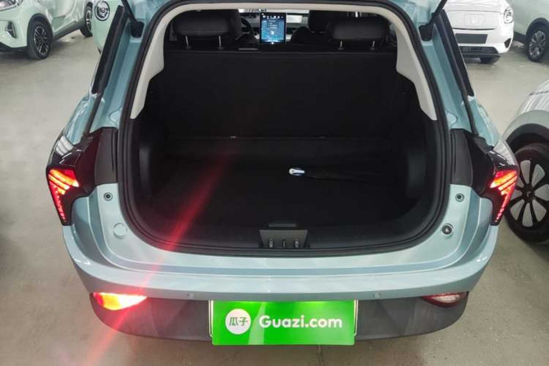 Used NETA V 2022 Pro Long-Range Smart Edition Trunk