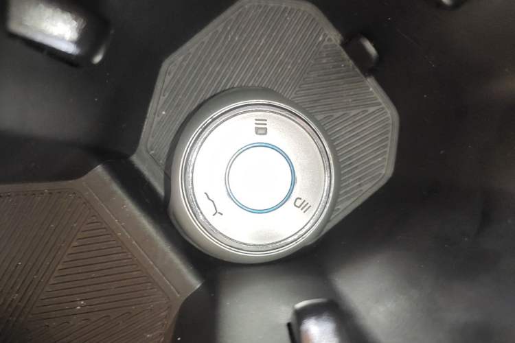 Used NETA V 2022 Chao 300 Lite Lithium Iron Phosphate Vehicle Key